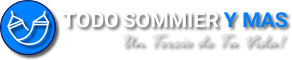 Sommiers  colchones en Zona norte TodoSommierymas Logo